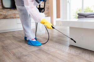 Read more about the article How to Protect Your Floors from Pet Damage
